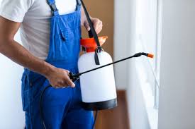 Best Residential Pest Control  in Euharlee, GA